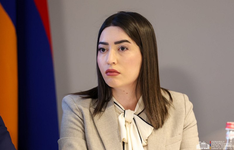 Министр внутренних дел Арпине Саргсян на брифинге о выборах в Армении, Нор-Норк