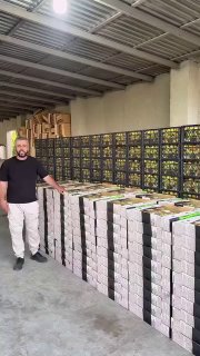 Первая партия армянских абрикосов для отправки в Сингапур компанией Davtyan Farms