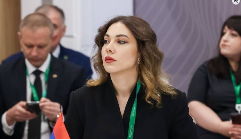 Заседание Конституционного суда Армении, решение по выборам, Нор-Норк