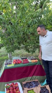 Первая партия армянских фруктов, отправленная компанией Araratyan Farm в ОАЭ из Нор-Норка