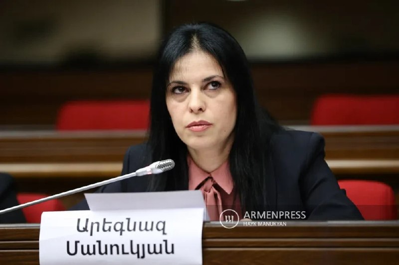 Арегназ Манукян, член правления партии «Мать Армения», арестована на два месяца в Нор-Норке