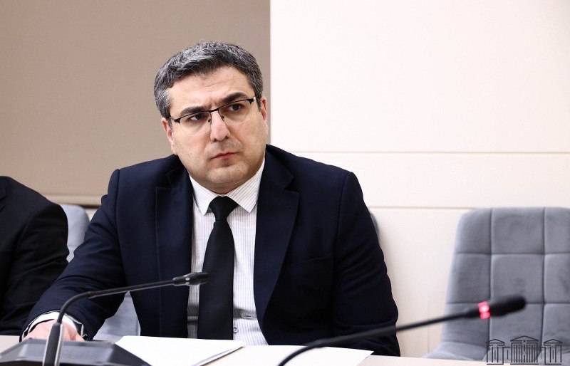 Заседание в Национальном Собрании Армении, замминистра МВД Армен Мкртчян выступает с докладом